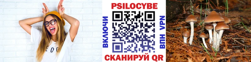Псилоцибиновые грибы мухоморы  Кольчугино 